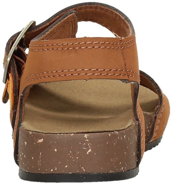 Castel Island 2 Strap - large