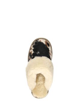 Collie