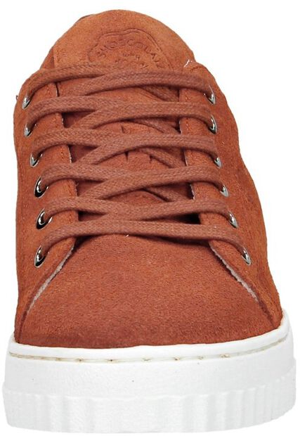 Dames sneakers - large