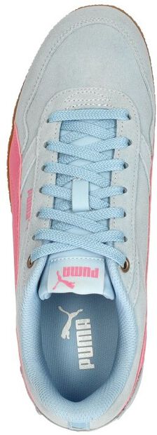 Bella Donna SD - large