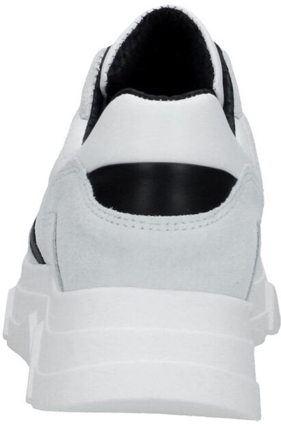 Kady Fat 10-F - large