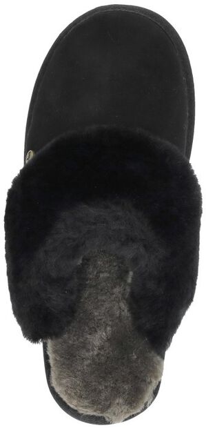 Flurry Plateau - large