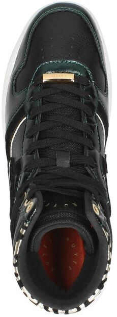 Campo High Lux - large