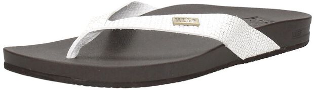 Cushion Court - large