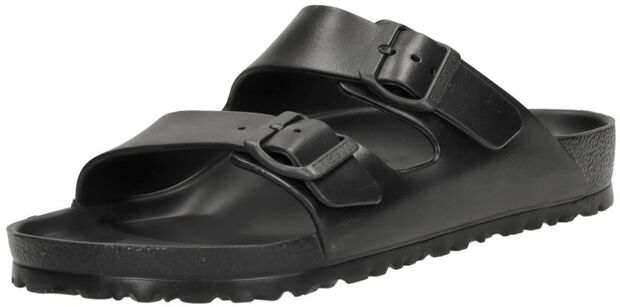 Arizona Essentials - large