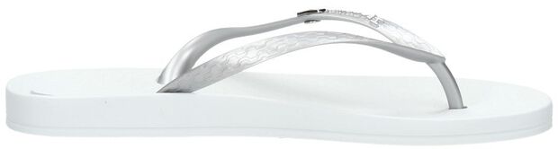 Anatomic Brasilidade - large