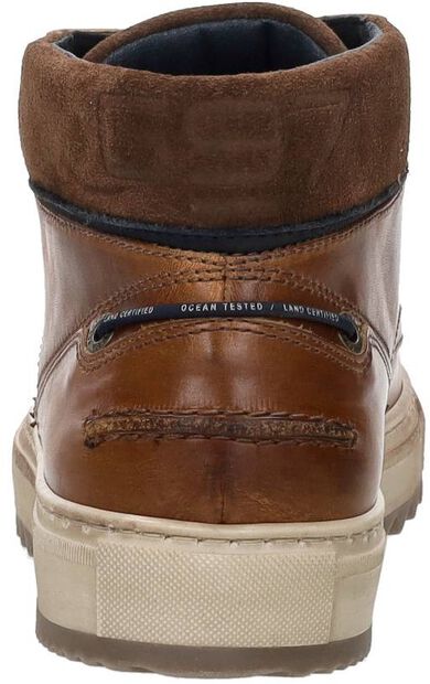 Led Mid Oil M - large