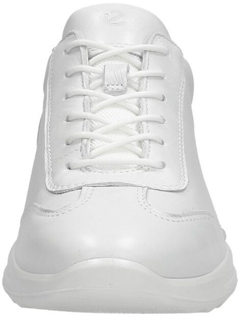 Flexure Runner W - large