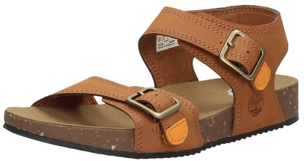 Castle Island 2 Strap - large