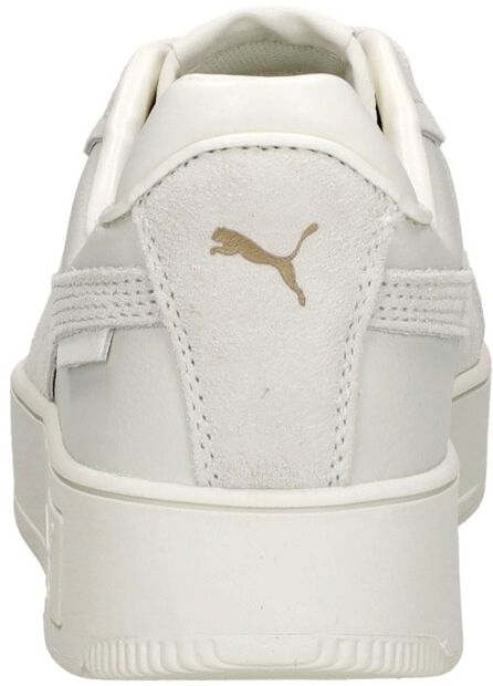 Carina Street SD - large