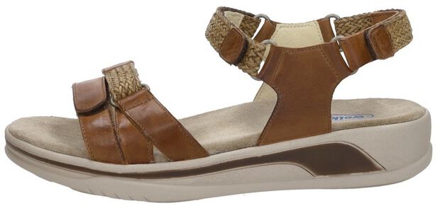 Acula Softy Wax - large