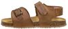 Jongens sandalen - small