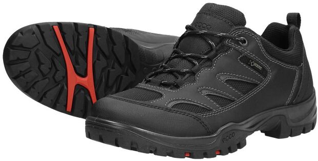 Xpedition III - large