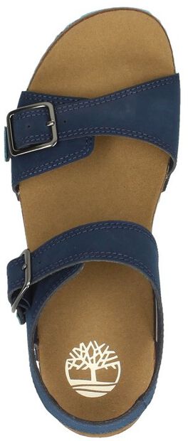 Castle Island 2 Strap - large