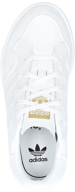 Team Court C - large