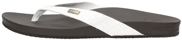 Cushion Court - large