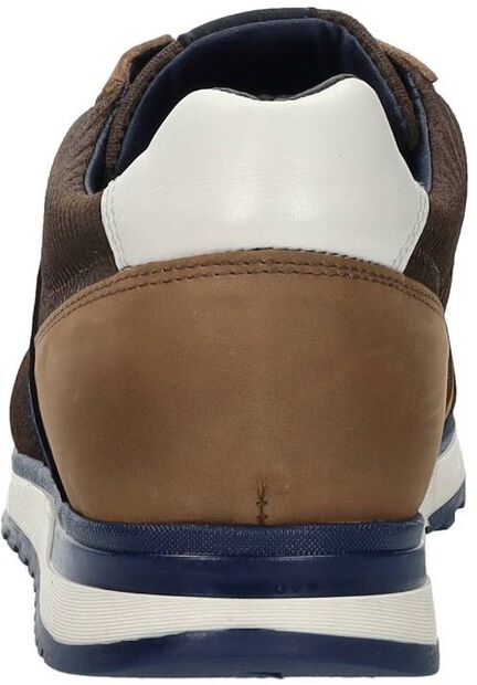 Koast Oil CRD M - large