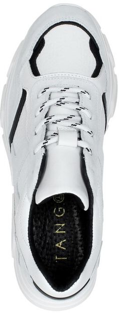 Kady Fat 10-F - large