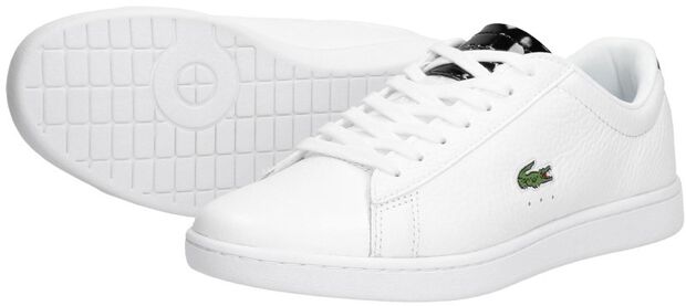 Carnaby EVO 220 - large