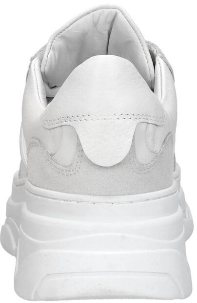 Sneakers Laag - large