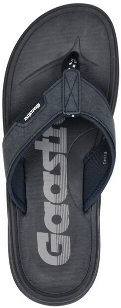 Maxwelll CAS M - large