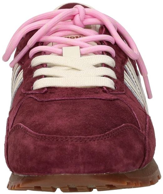 Sneakers Laag - large