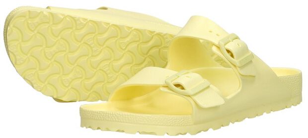 Arizona Essentials - large