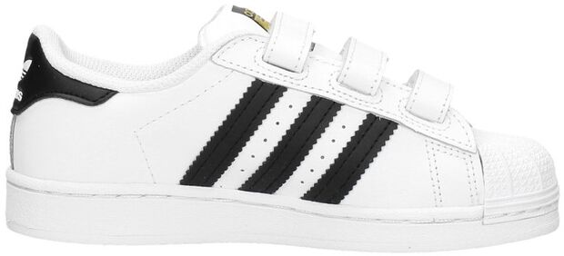 Superstar CF C - large
