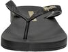 Anatomic Lolita - small