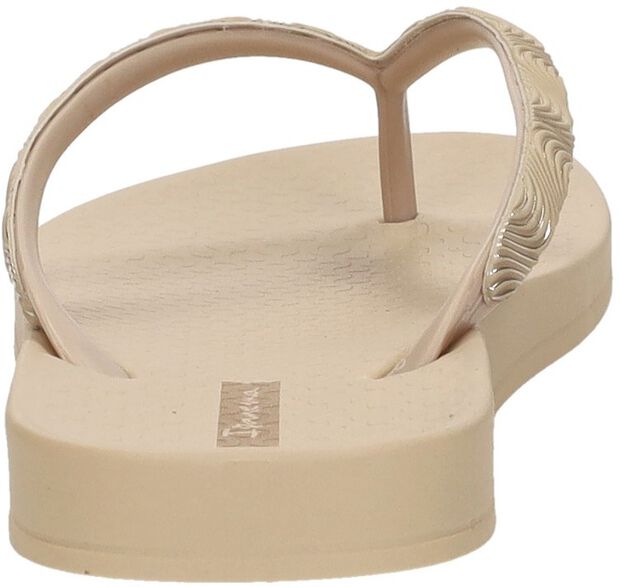 Anatomic Mesh - large