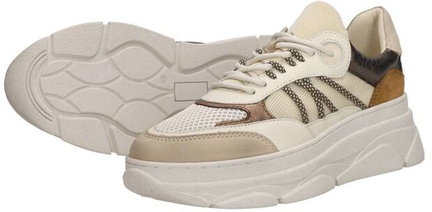 Sneakers Laag - large