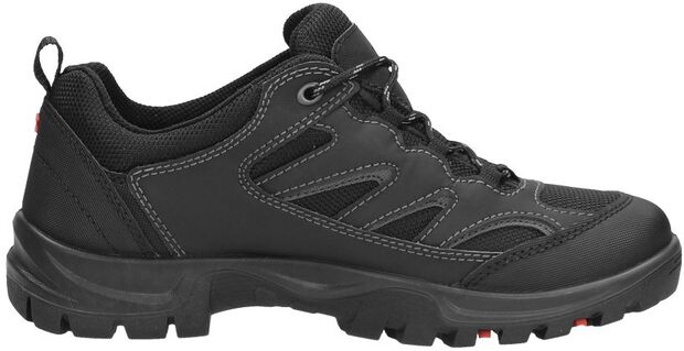 Xpedition III - large