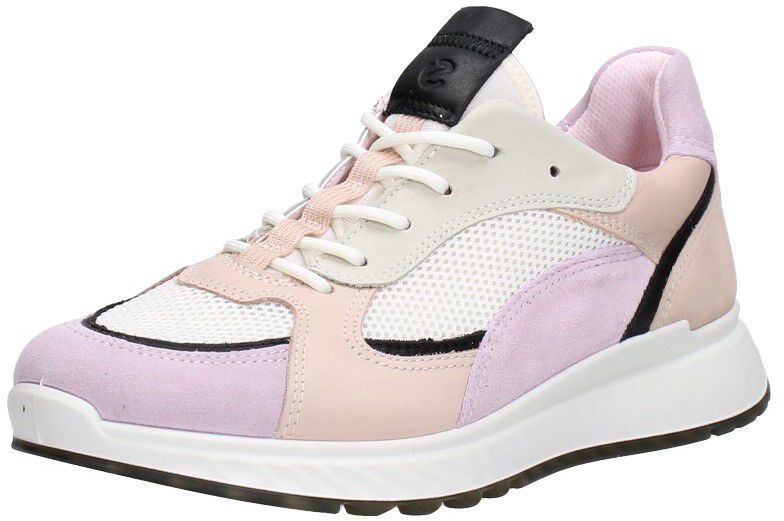 ST1 W roze