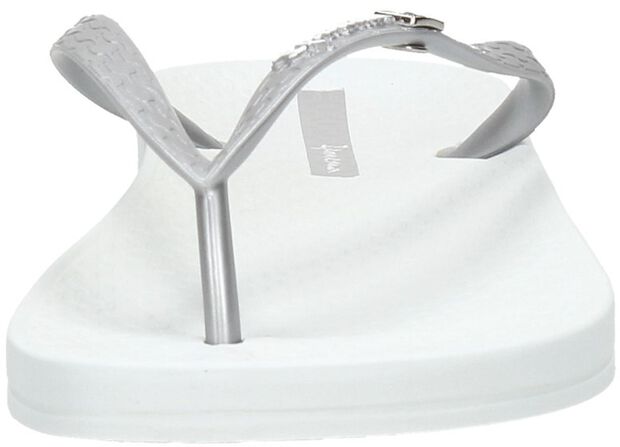 Anatomic Brasilidade - large