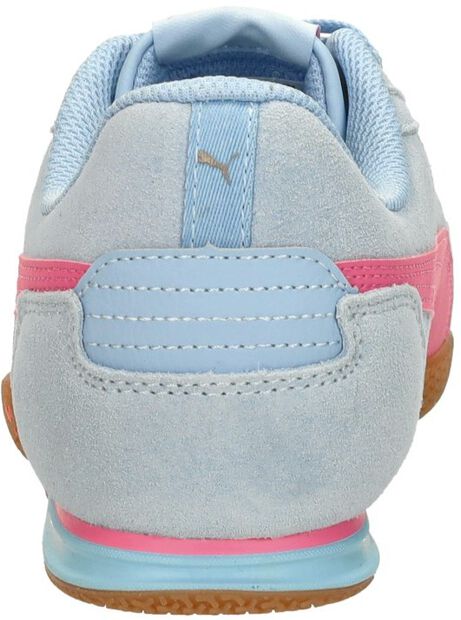 Bella Donna SD - large