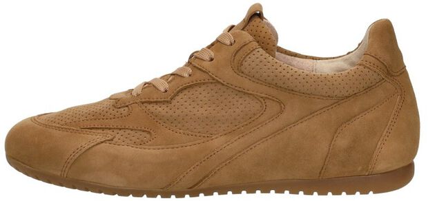 Sneakers Laag - large