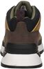 Field Trekker - small
