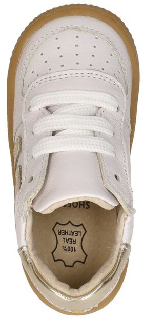 Extreme Flex - large