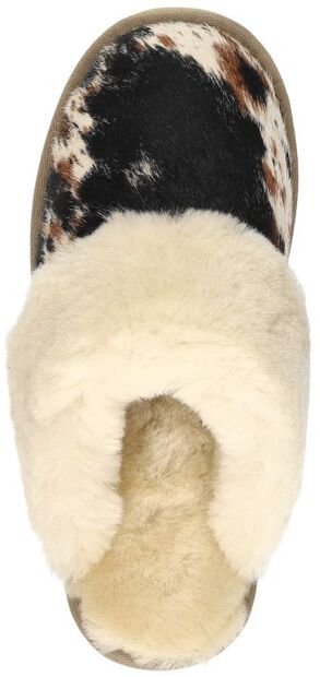 Collie - large