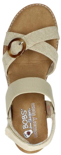 Desert Kiss Hi - Spring Soiree - large