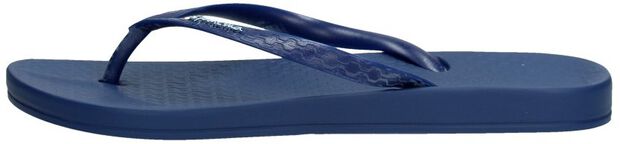 Anatomic Tan Colors - large