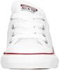 Chuck Taylor All Star Seasonal - small