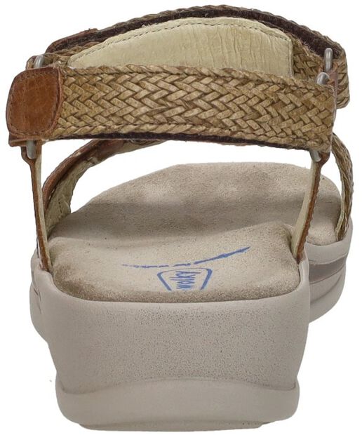 Acula Softy Wax - large