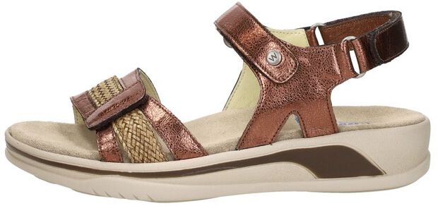 Fantom Elite - large