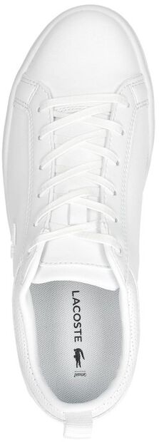 Straightset 120 - large