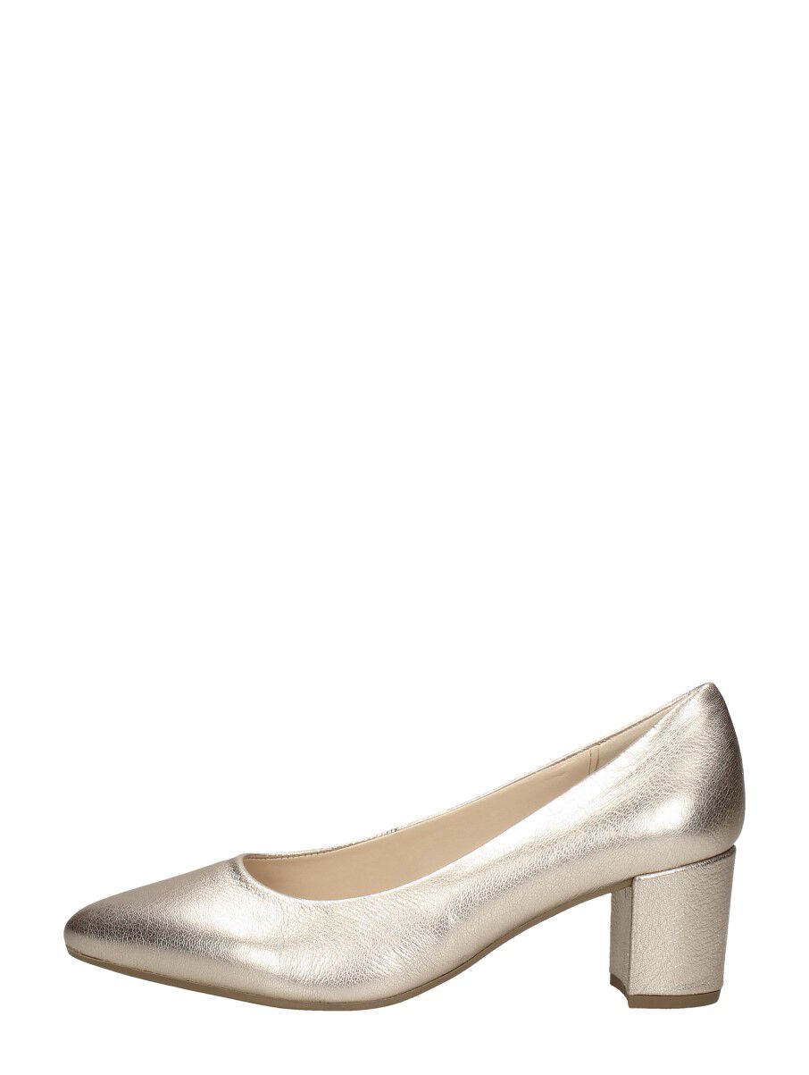 pumps schuurman