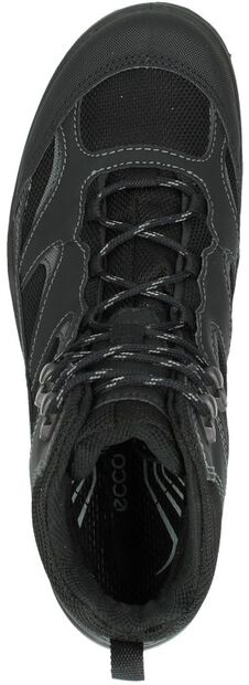 Xpedition III - large