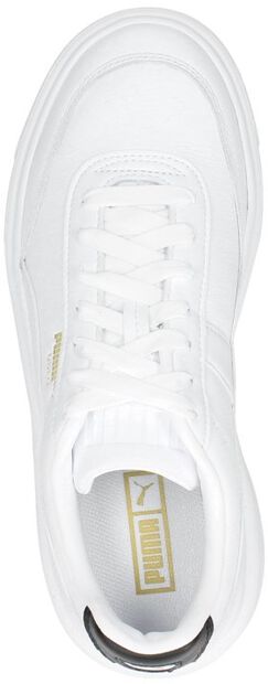 Oslo Maja Wn's - large