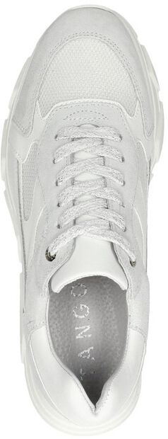 Kady Fat 23-B - large