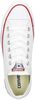 Chuck Taylor All Star - small